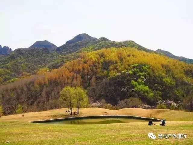 “寓”见滨州·“沁”幸有你——滨和沁园人才公寓揭牌暨人才入住仪式成功举办